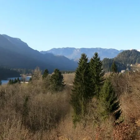 Sava View 8 Ribno