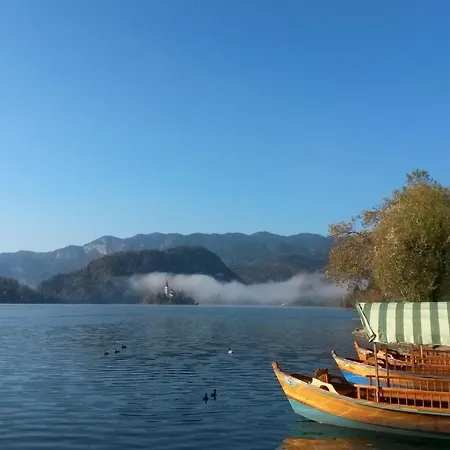 Sava View 8 *
