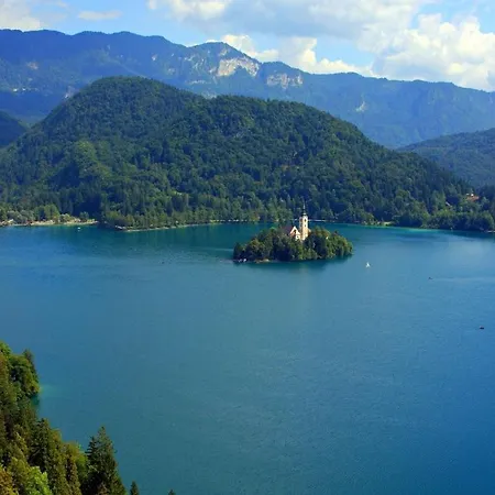 Sava View 8 * Ribno